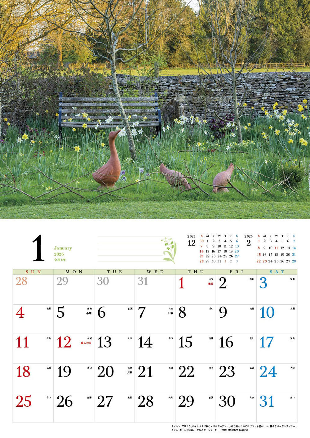 �ڥ��եȡ�BISES�ѹ����໶�⥳�åĥ����륺��������2026