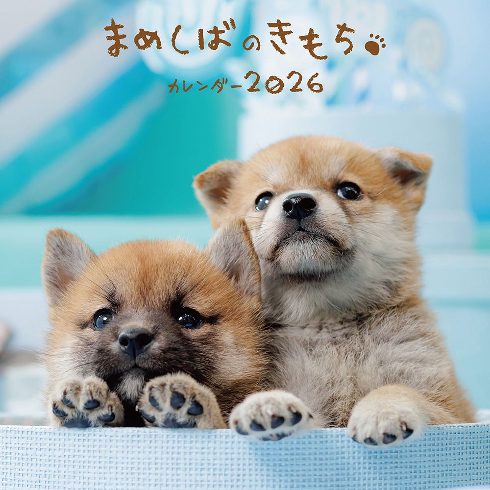 まめしば 1_000000000963.jpg?1754016320