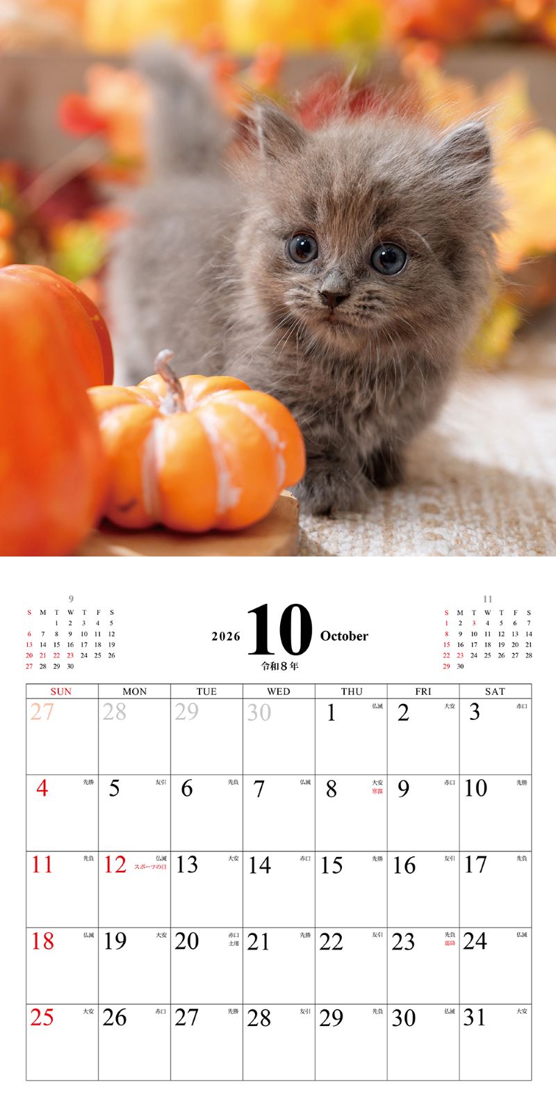 ���ͤ��Τ������������2026