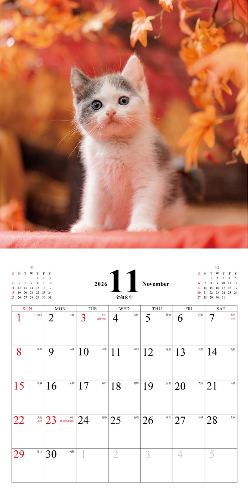 ���ͤ��Τ������������2026