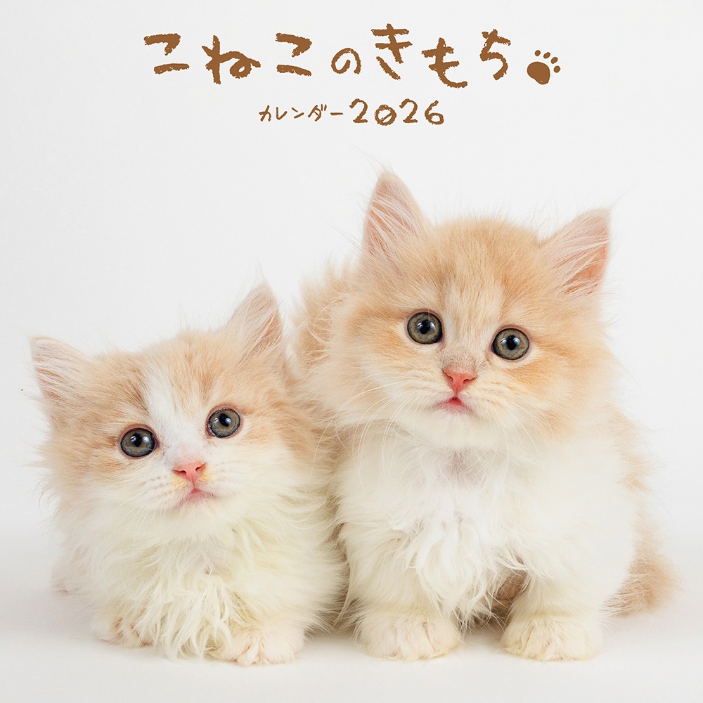 ねこのきもち　2014年1月〜2025年3月 ねこのきもち 2025年3月号｜株式会社シーオーツー