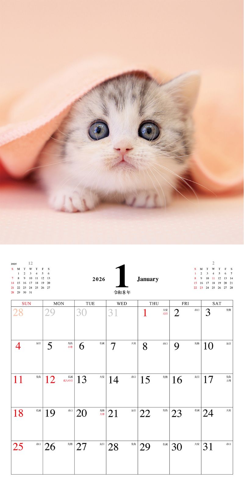 ���ͤ��Τ������������2026