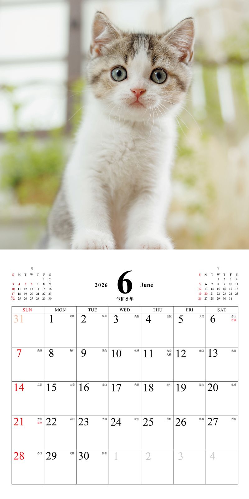 ���ͤ��Τ������������2026