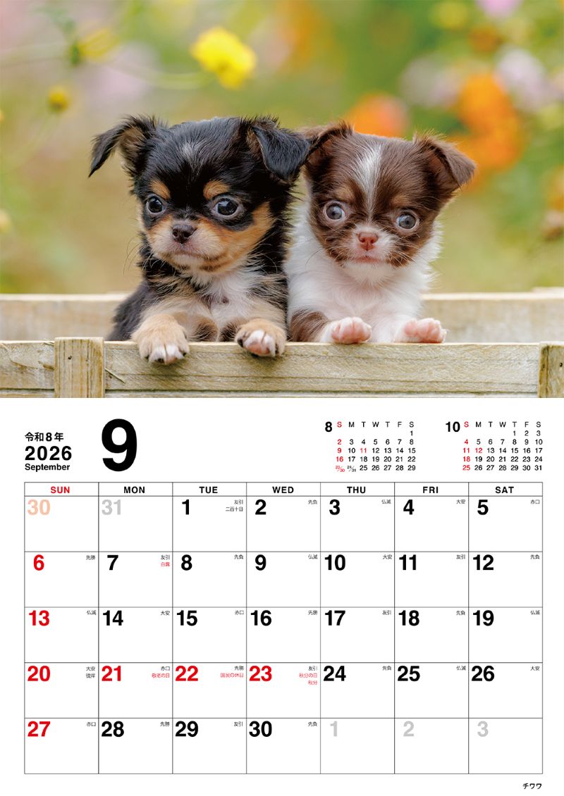 �����̤Τ������������2026