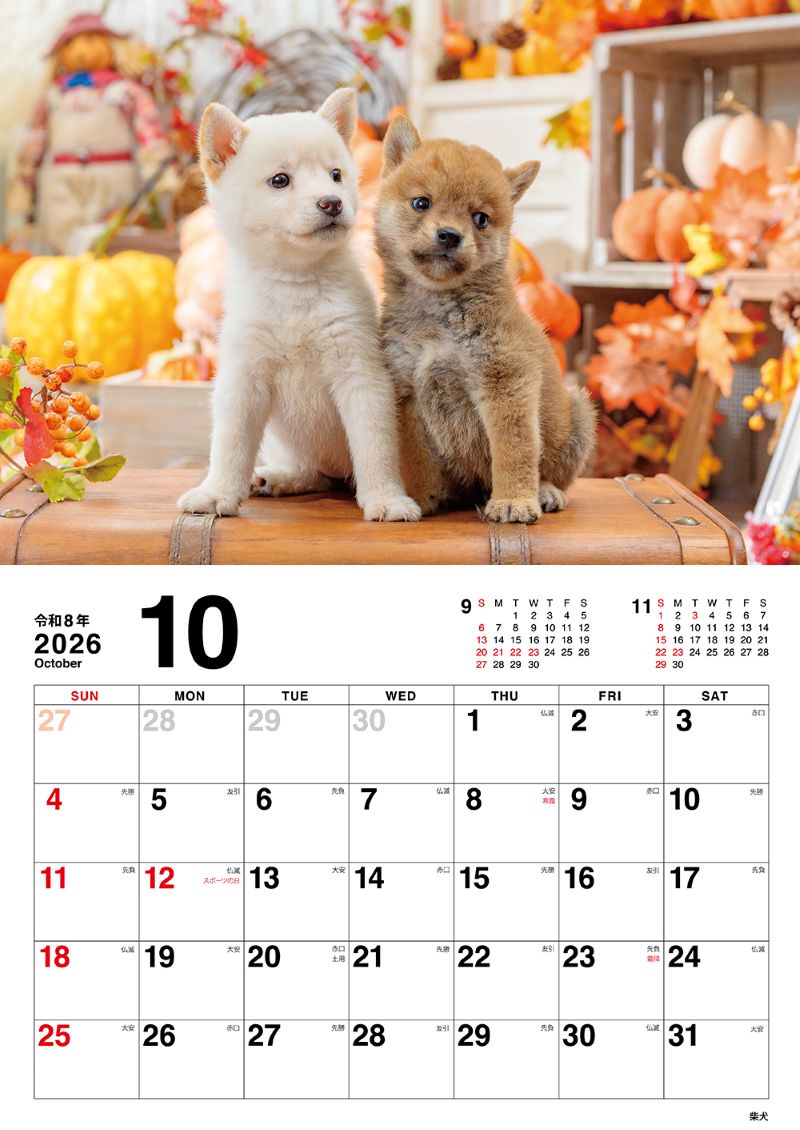 �����̤Τ������������2026