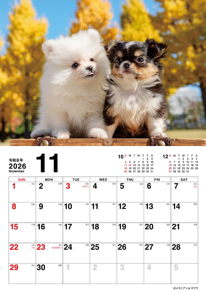 �����̤Τ������������2026