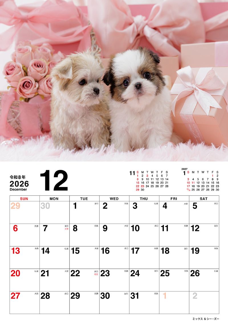 �����̤Τ������������2026