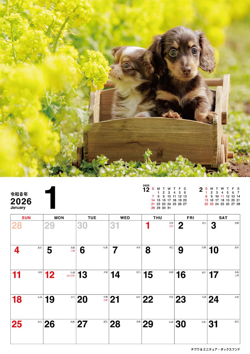 �����̤Τ������������2026