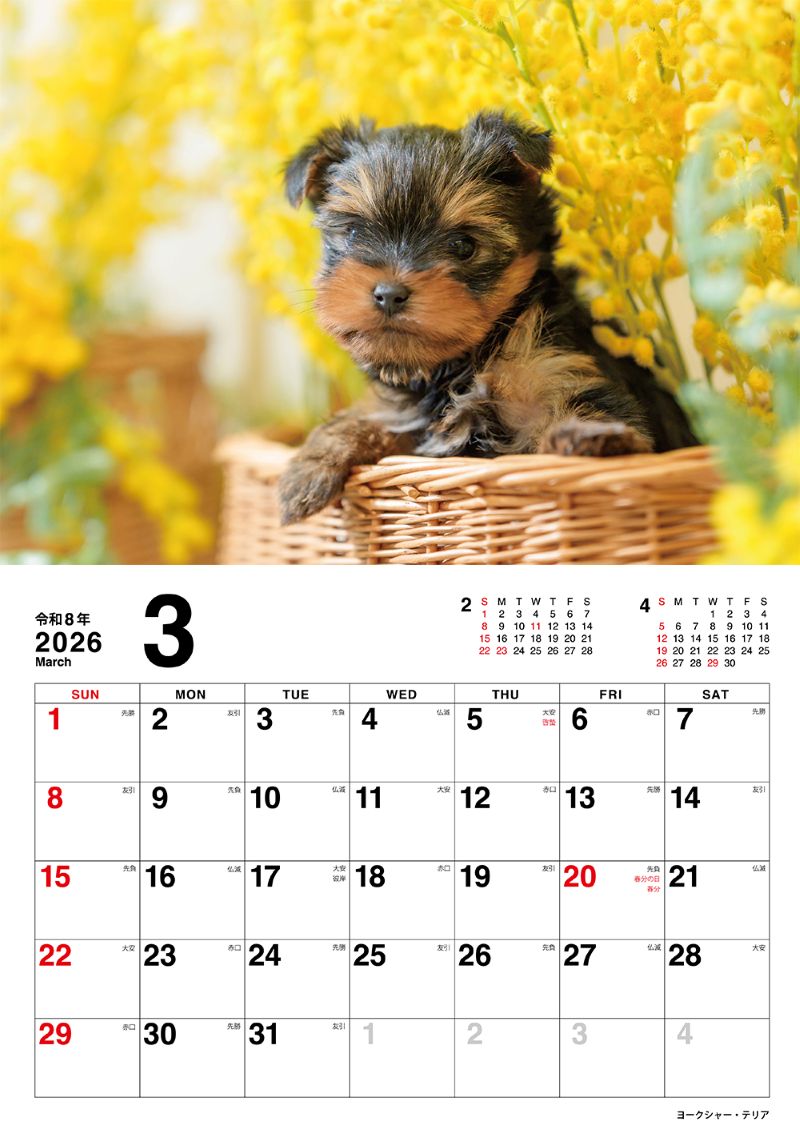 �����̤Τ������������2026