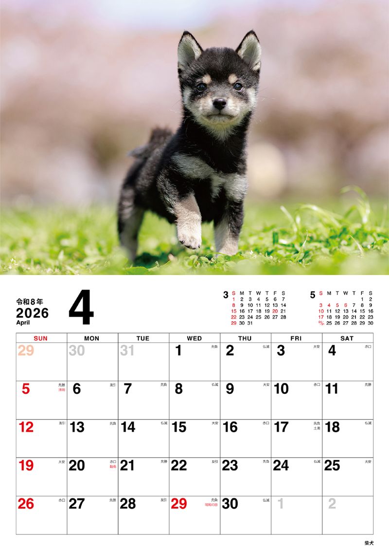 �����̤Τ������������2026