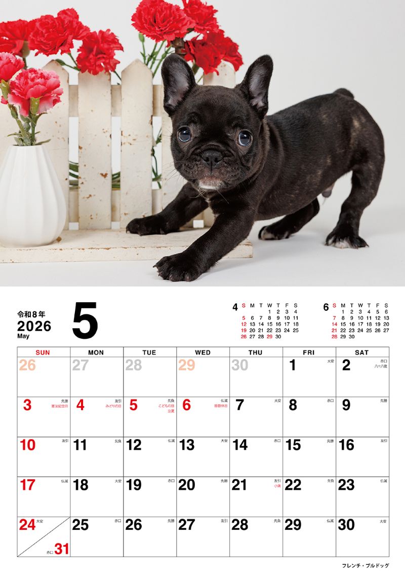 �����̤Τ������������2026