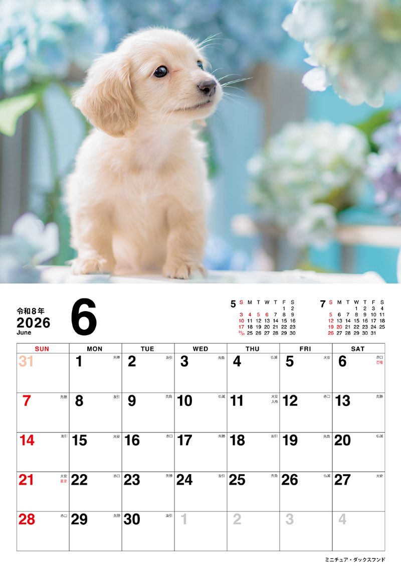 �����̤Τ������������2026