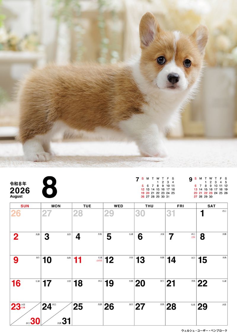 �����̤Τ������������2026