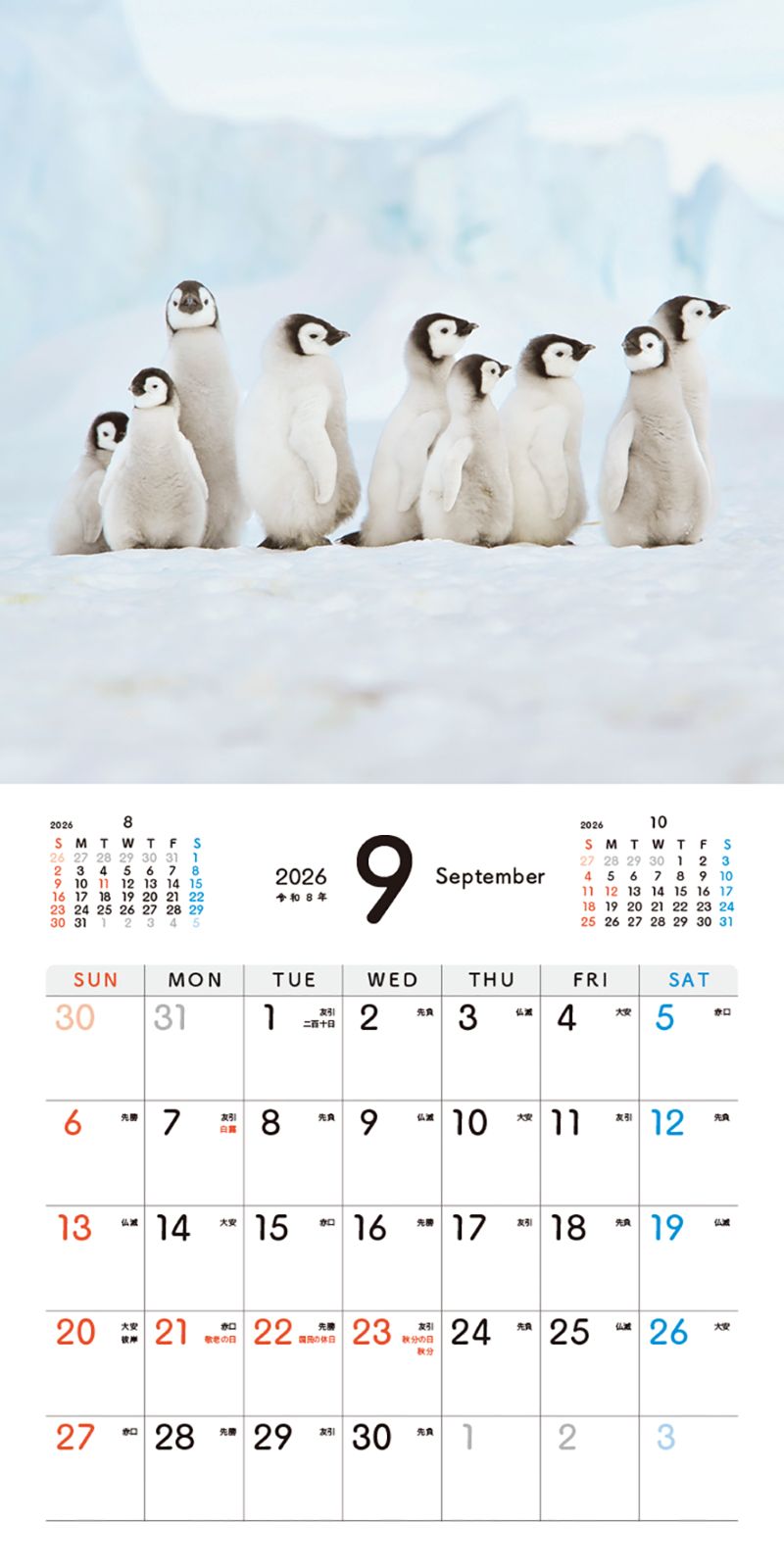 �����Ƥ��ڥ󥮥�Τ�������󥫥�����2026