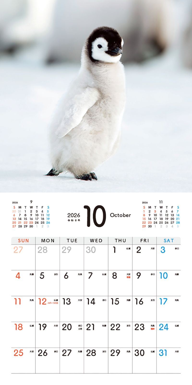 �����Ƥ��ڥ󥮥�Τ�������󥫥�����2026