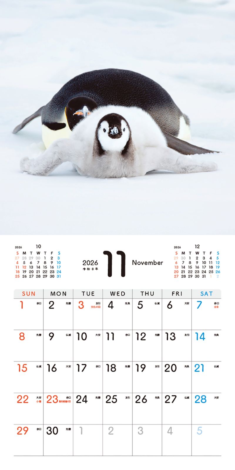 �����Ƥ��ڥ󥮥�Τ�������󥫥�����2026