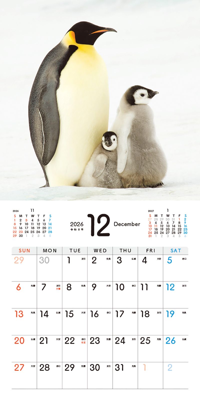 �����Ƥ��ڥ󥮥�Τ�������󥫥�����2026