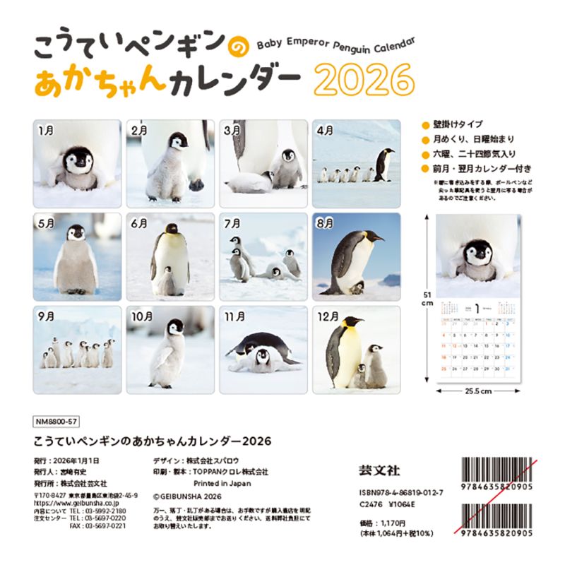 �����Ƥ��ڥ󥮥�Τ�������󥫥�����2026