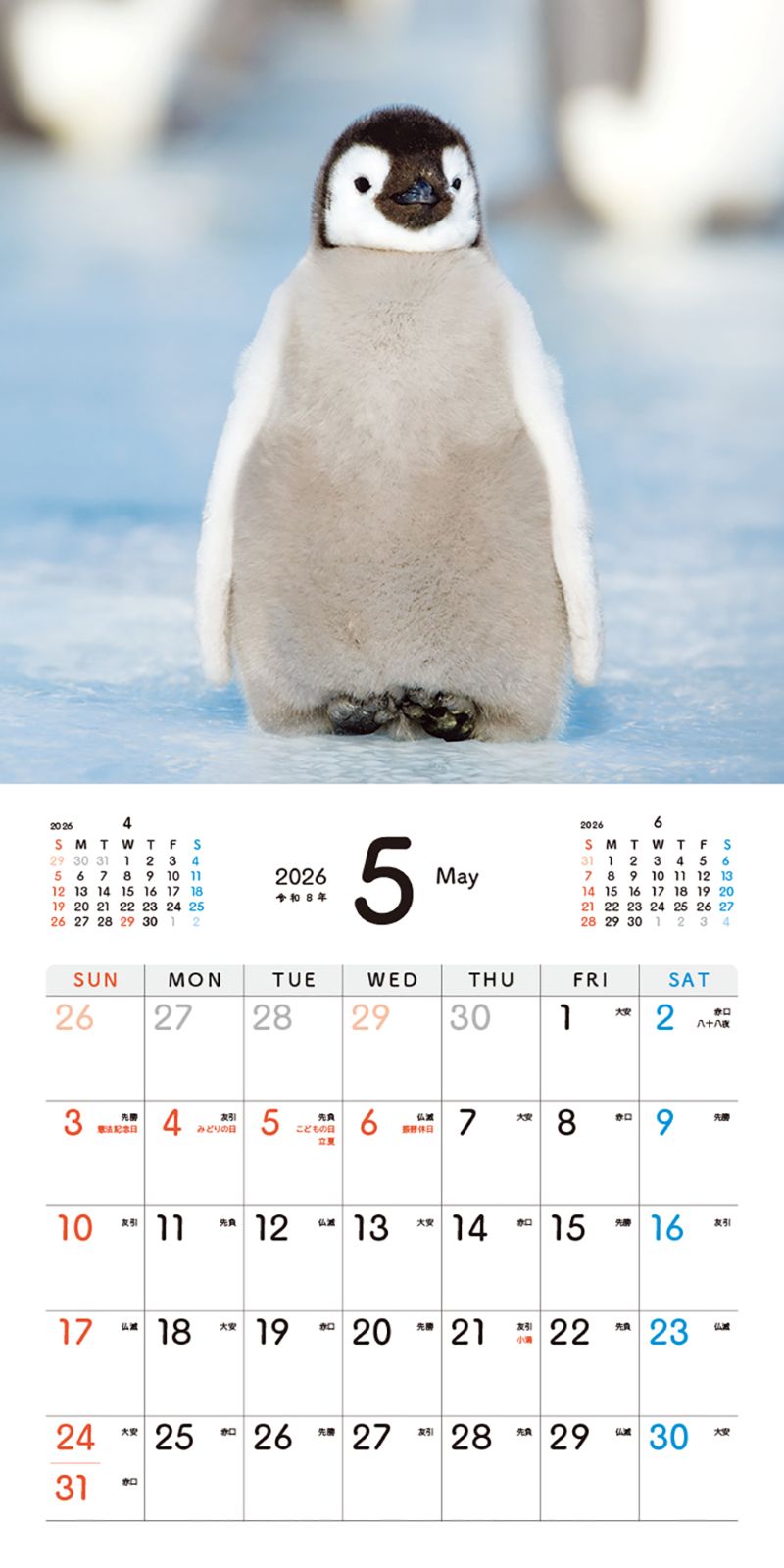 �����Ƥ��ڥ󥮥�Τ�������󥫥�����2026