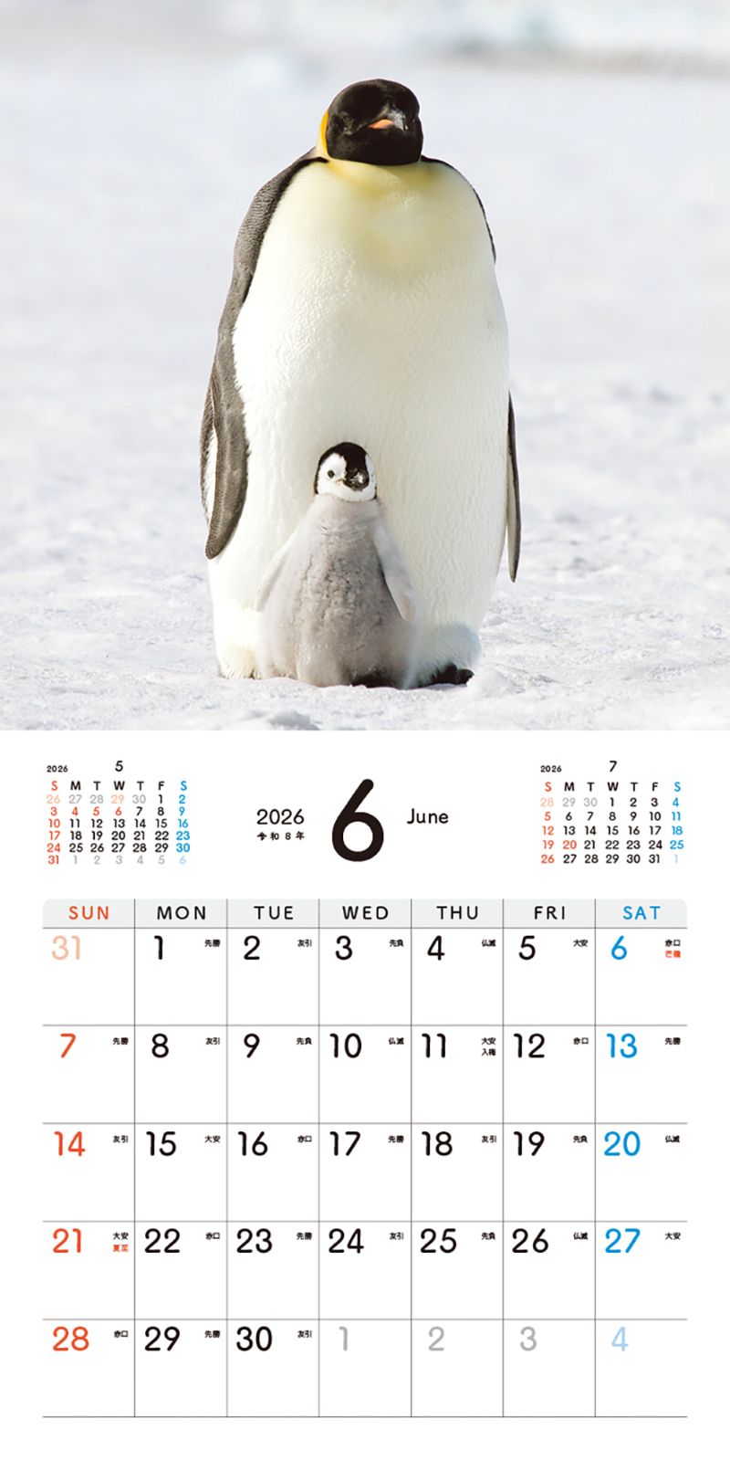 �����Ƥ��ڥ󥮥�Τ�������󥫥�����2026