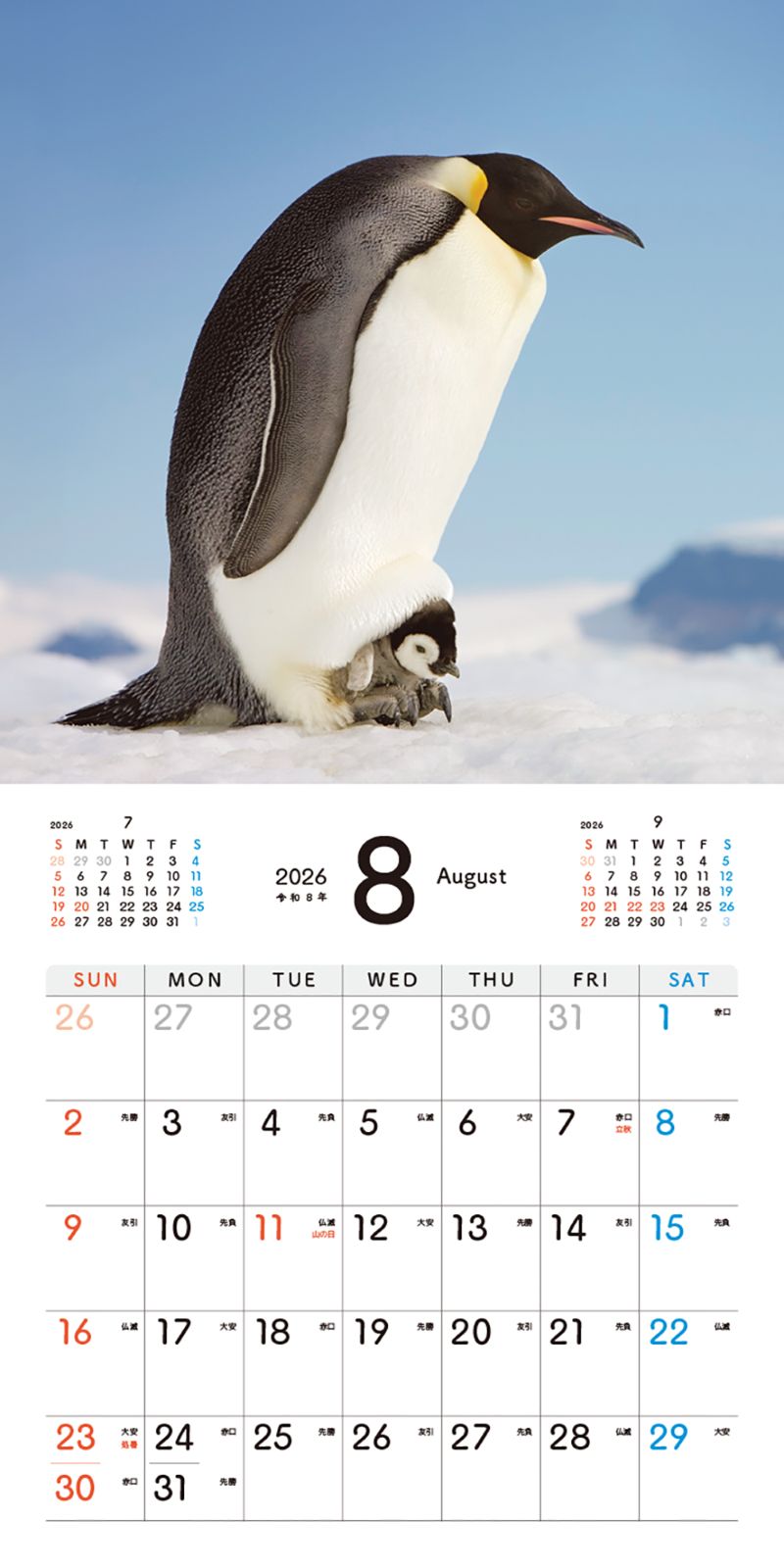 �����Ƥ��ڥ󥮥�Τ�������󥫥�����2026