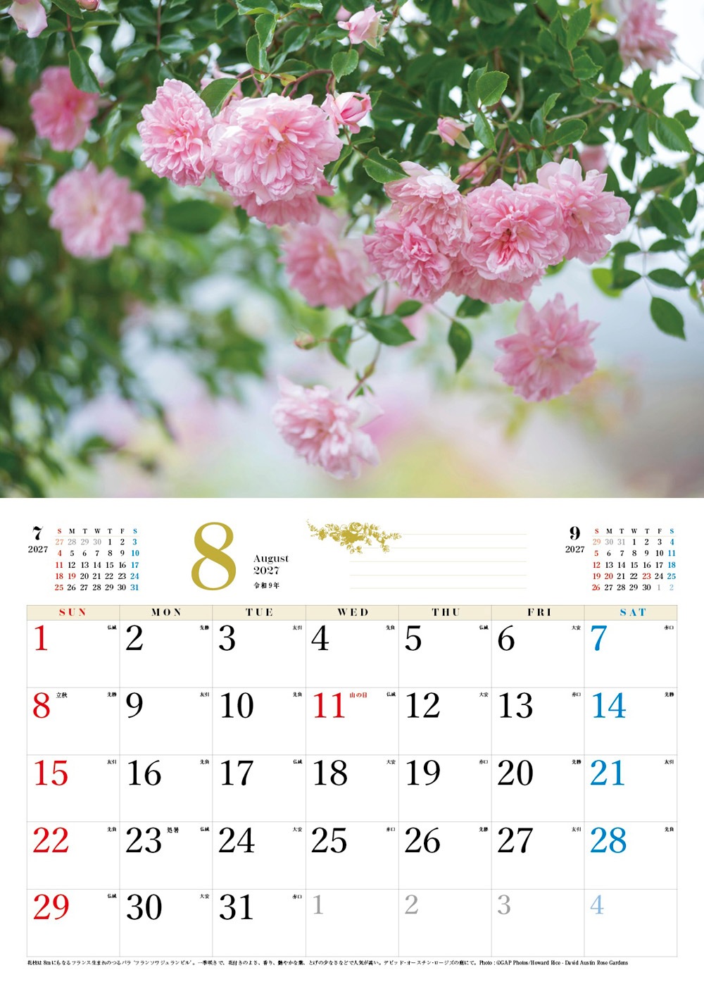 BISES���ޥ���å���������������2027