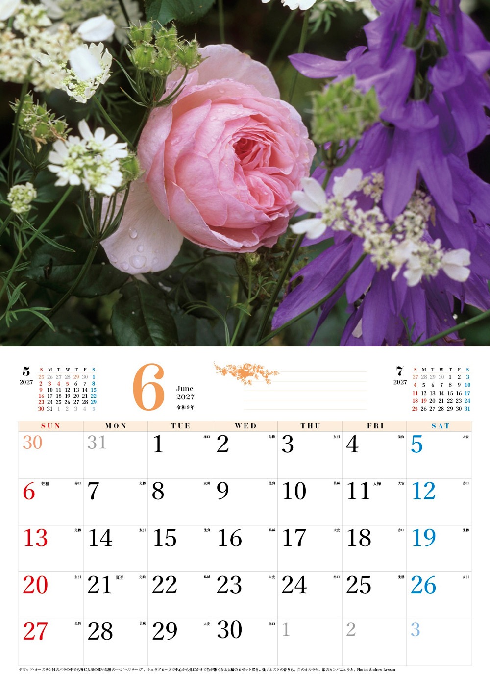 BISES���ޥ���å���������������2027