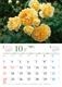 BISES���ޥ���å���������������2027
