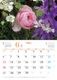 BISES���ޥ���å���������������2027