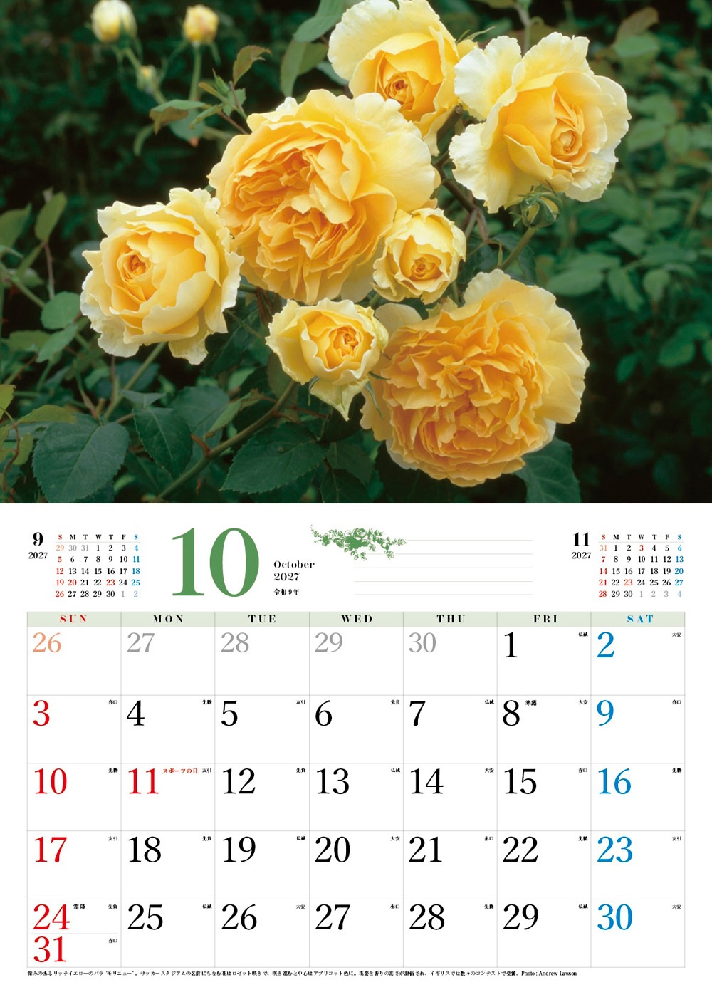 �ڥ��եȡ�BISES���ޥ���å���������������2027