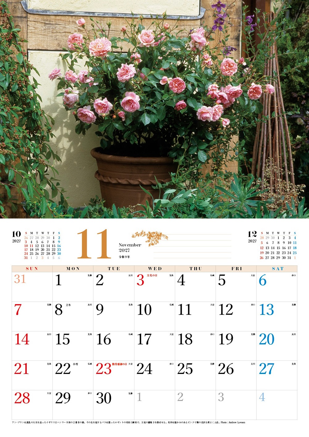 �ڥ��եȡ�BISES���ޥ���å���������������2027
