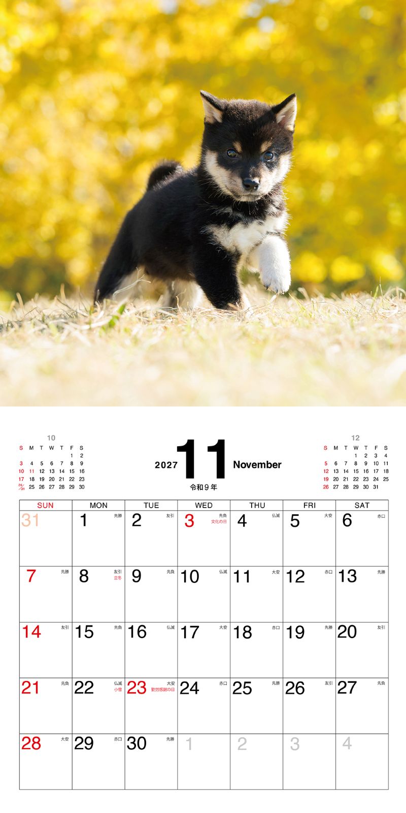�ޤᤷ�ФΤ������������2027
