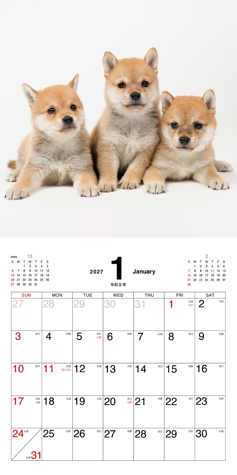 �ޤᤷ�ФΤ������������2027