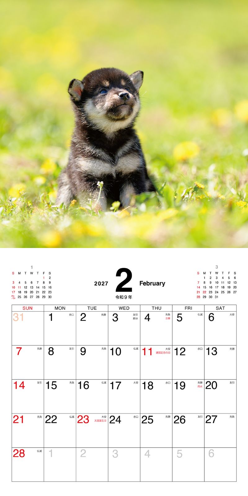 �ޤᤷ�ФΤ������������2027
