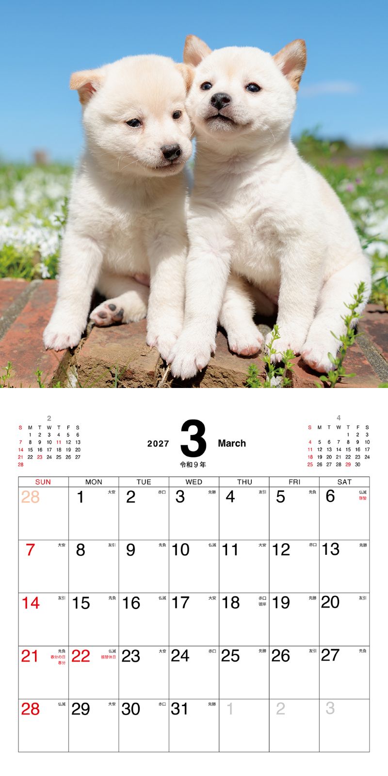�ޤᤷ�ФΤ������������2027