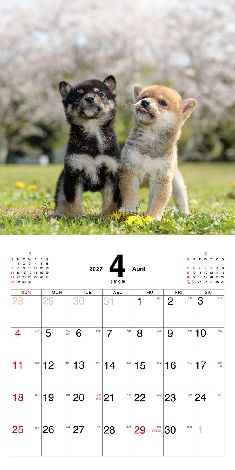 �ޤᤷ�ФΤ������������2027