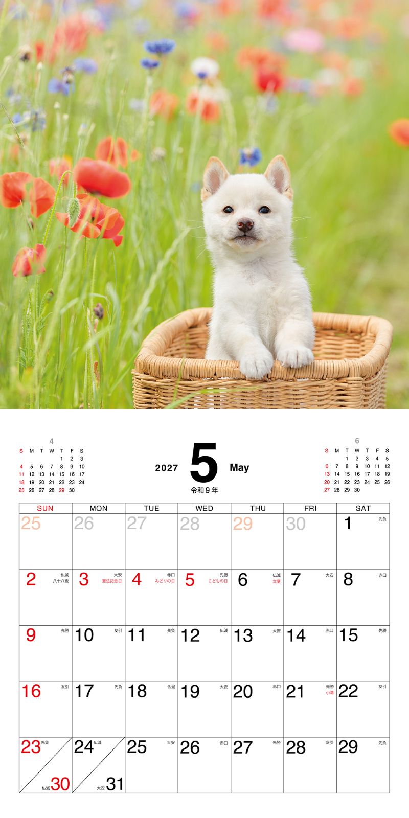�ޤᤷ�ФΤ������������2027