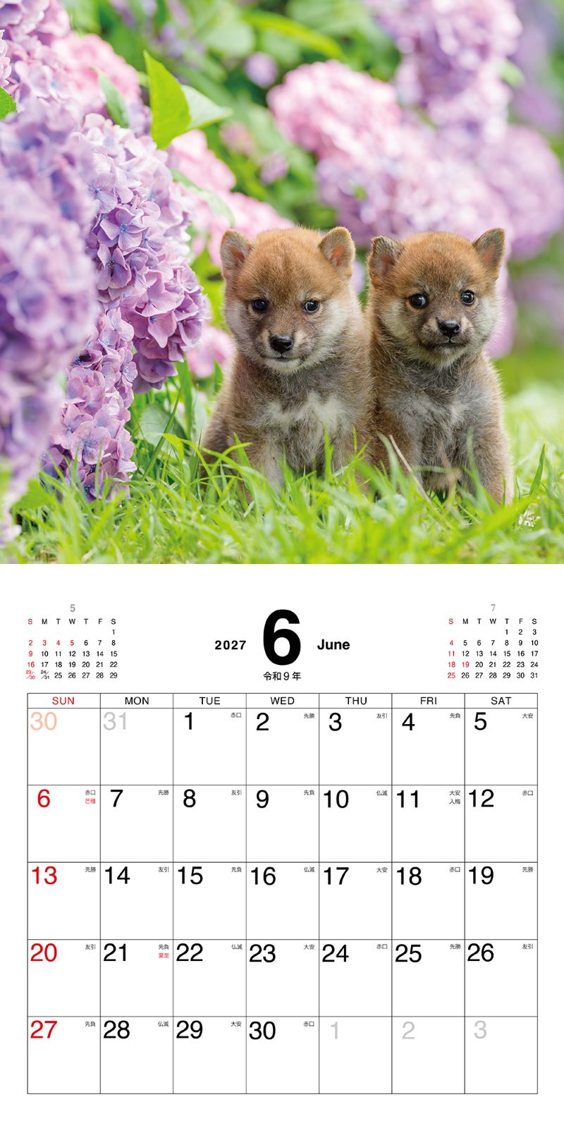 �ޤᤷ�ФΤ������������2027