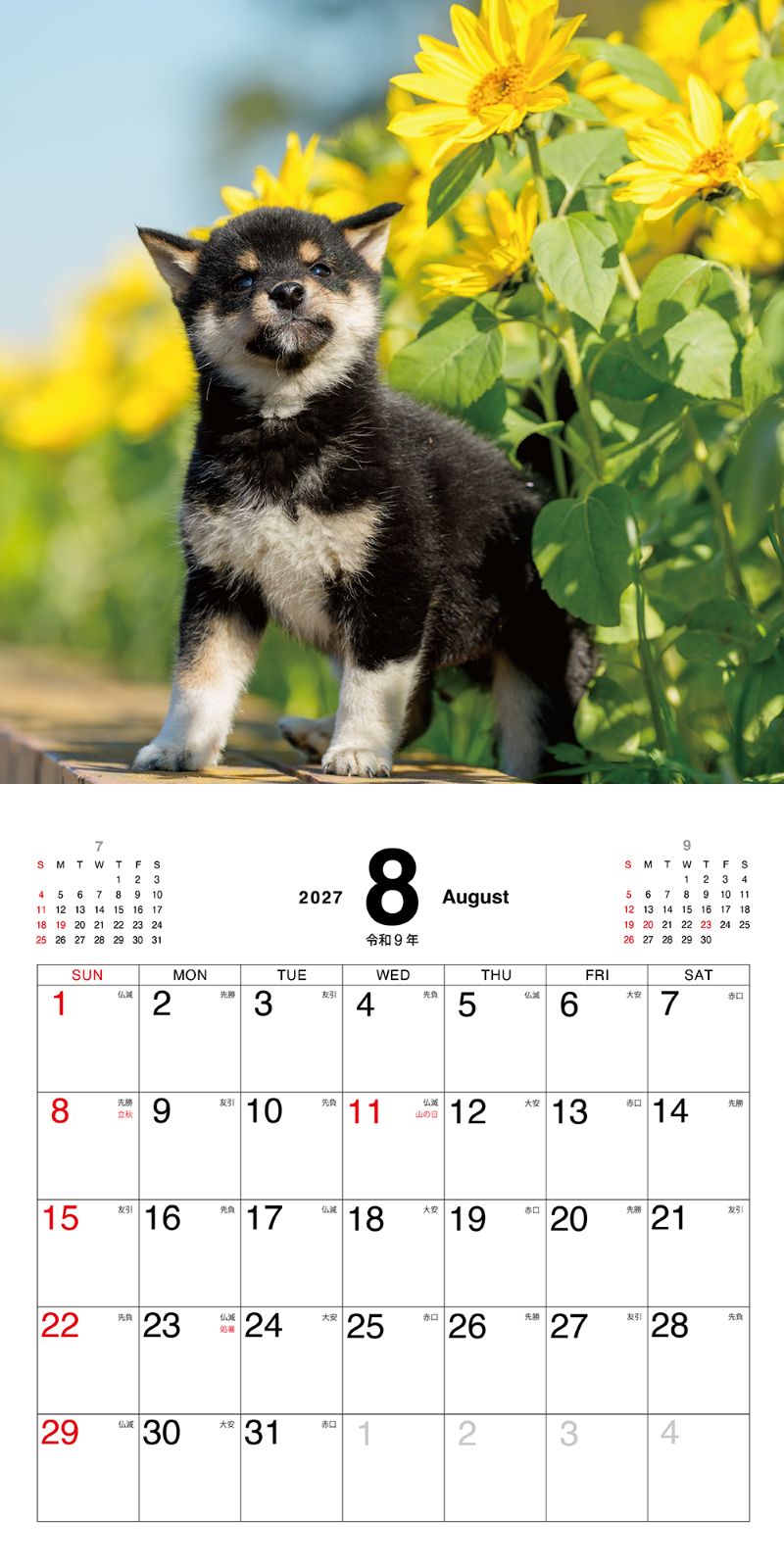 �ޤᤷ�ФΤ������������2027