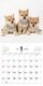 �ޤᤷ�ФΤ������������2027