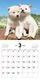 �ޤᤷ�ФΤ������������2027