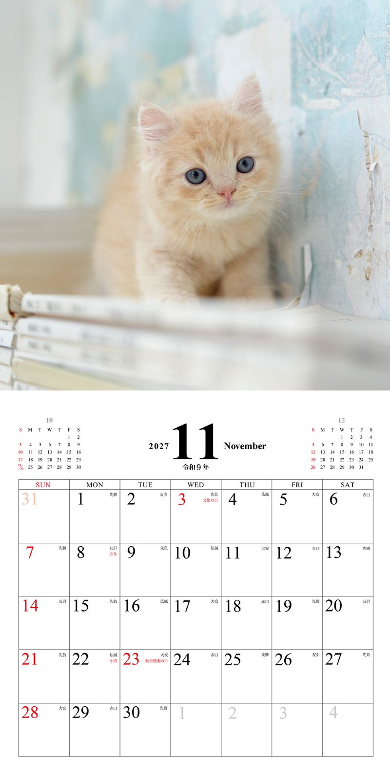 ���ͤ��Τ������������2027