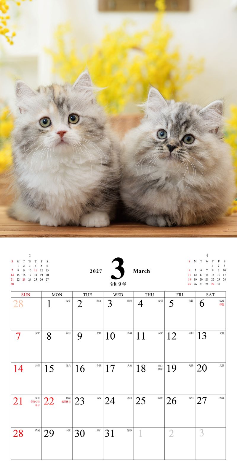 ���ͤ��Τ������������2027