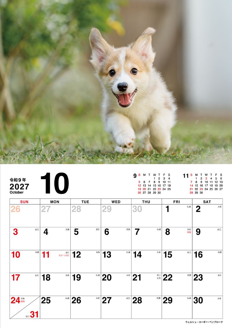 �����̤Τ������������2027