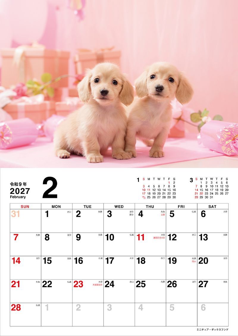 �����̤Τ������������2027