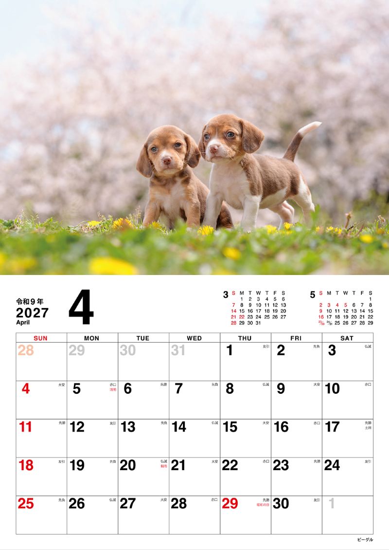 �����̤Τ������������2027