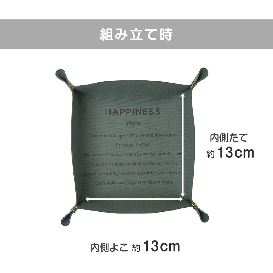 レザートレイ トレイ インテリア 雑貨 おしゃれ 収納ケース マルチトレー 正方形 小物入れ 革小物 合皮 英文 かわいい ユニセックス 春夏秋冬 新作 13cm グリーン 緑 レッド 赤 グレー ピンク マスタード ブルー JOCOSA 9003 送料無料 即納