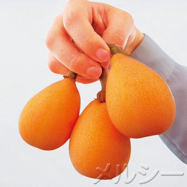 商品写真