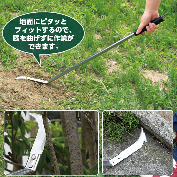 商品写真