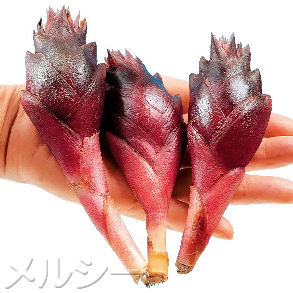 商品写真